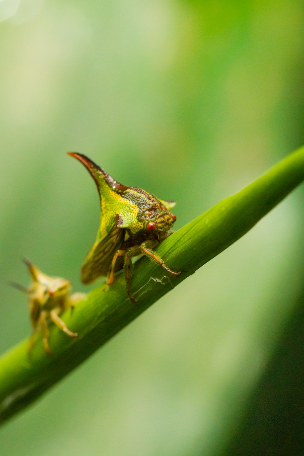 Photo & Video Sharing by SmugMug