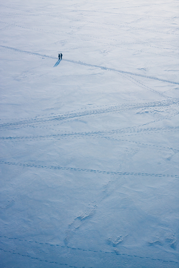 Trees stand fixed in position as the full moon rises above the frozen landscapes around Pulju, Lapland.