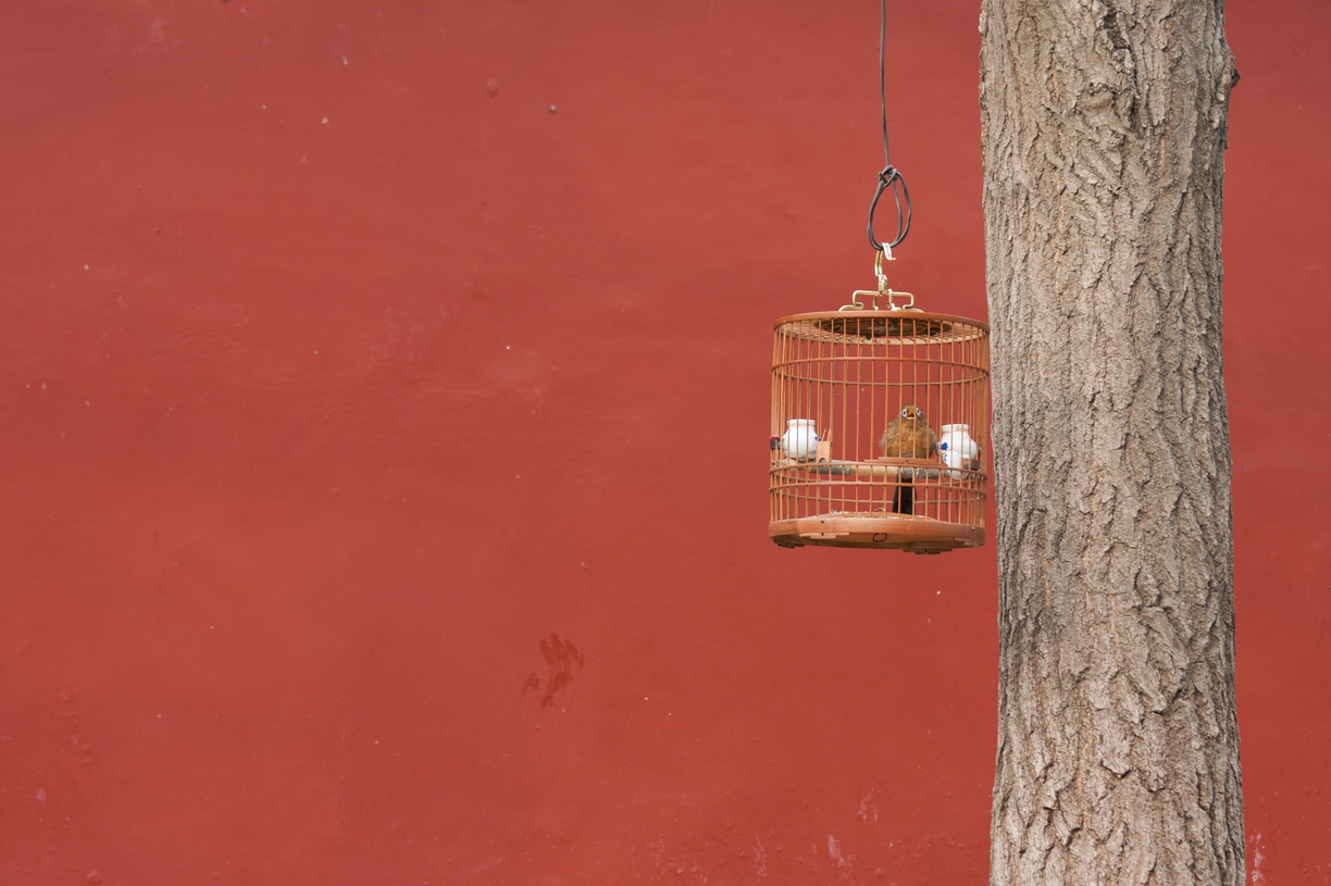 Photo & Video Sharing by SmugMug