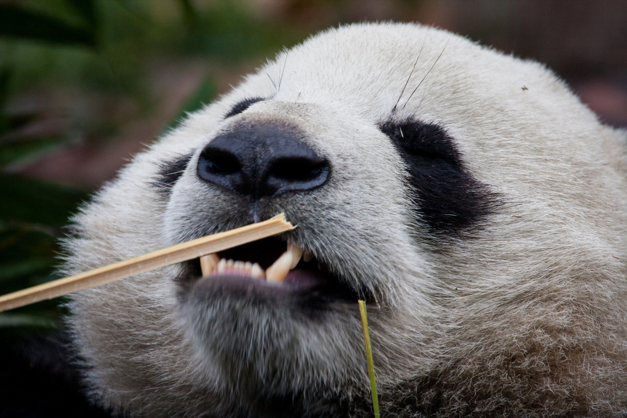 Photo & Video Sharing by SmugMug