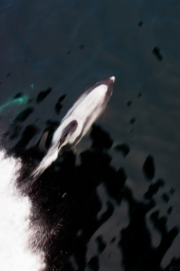 Photo & Video Sharing by SmugMug