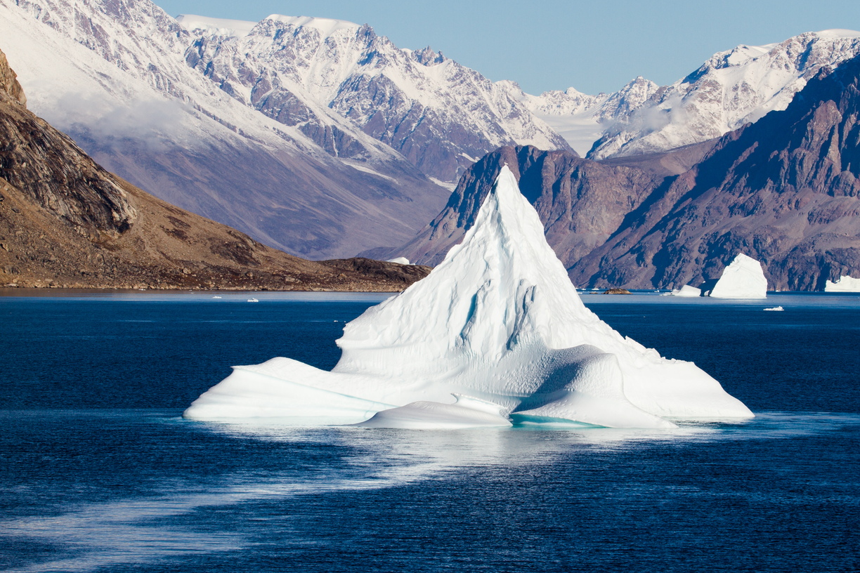 A tiny gull rests on top of a pyramidical iceberg off the shores of Ø fjord, Eastern Greenland.