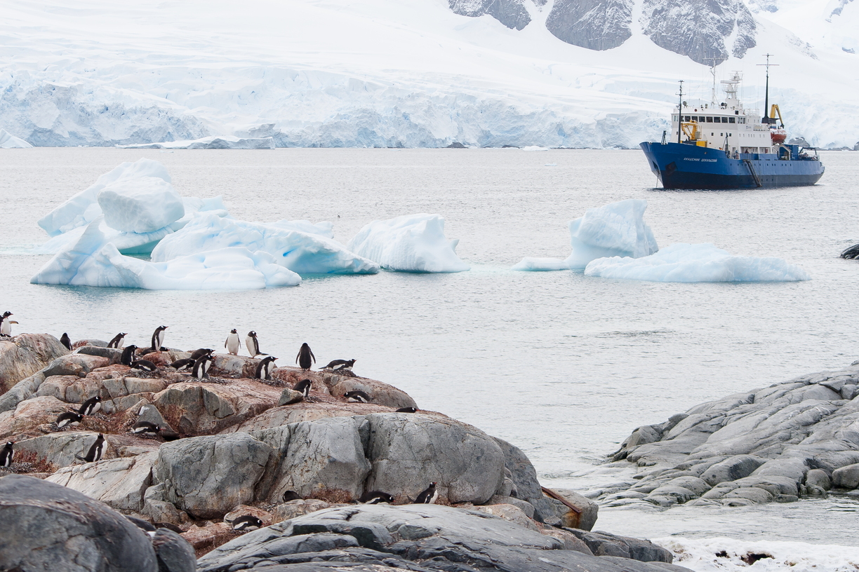 Oceans of ice and steel